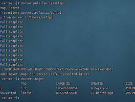 centos7.x如何使用docker安装FTP并添加用户?