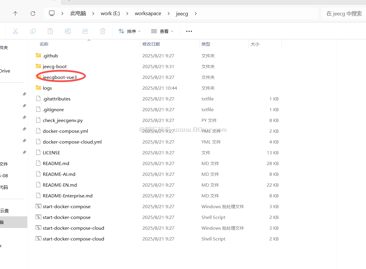 Jeecgboot低代码平台二开系列（六）JeecgBoot运行前端项目
